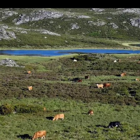 Casa Jardin Mariana Ferienhaus *