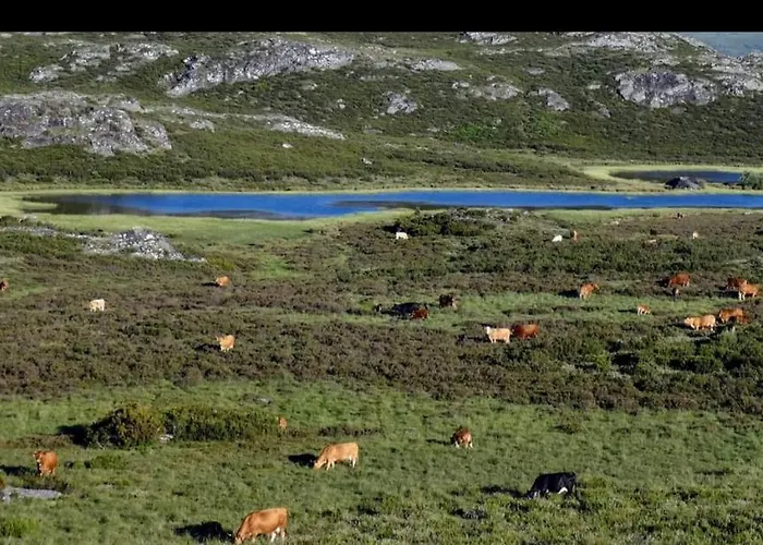 Casa Jardin Mariana Holiday home *